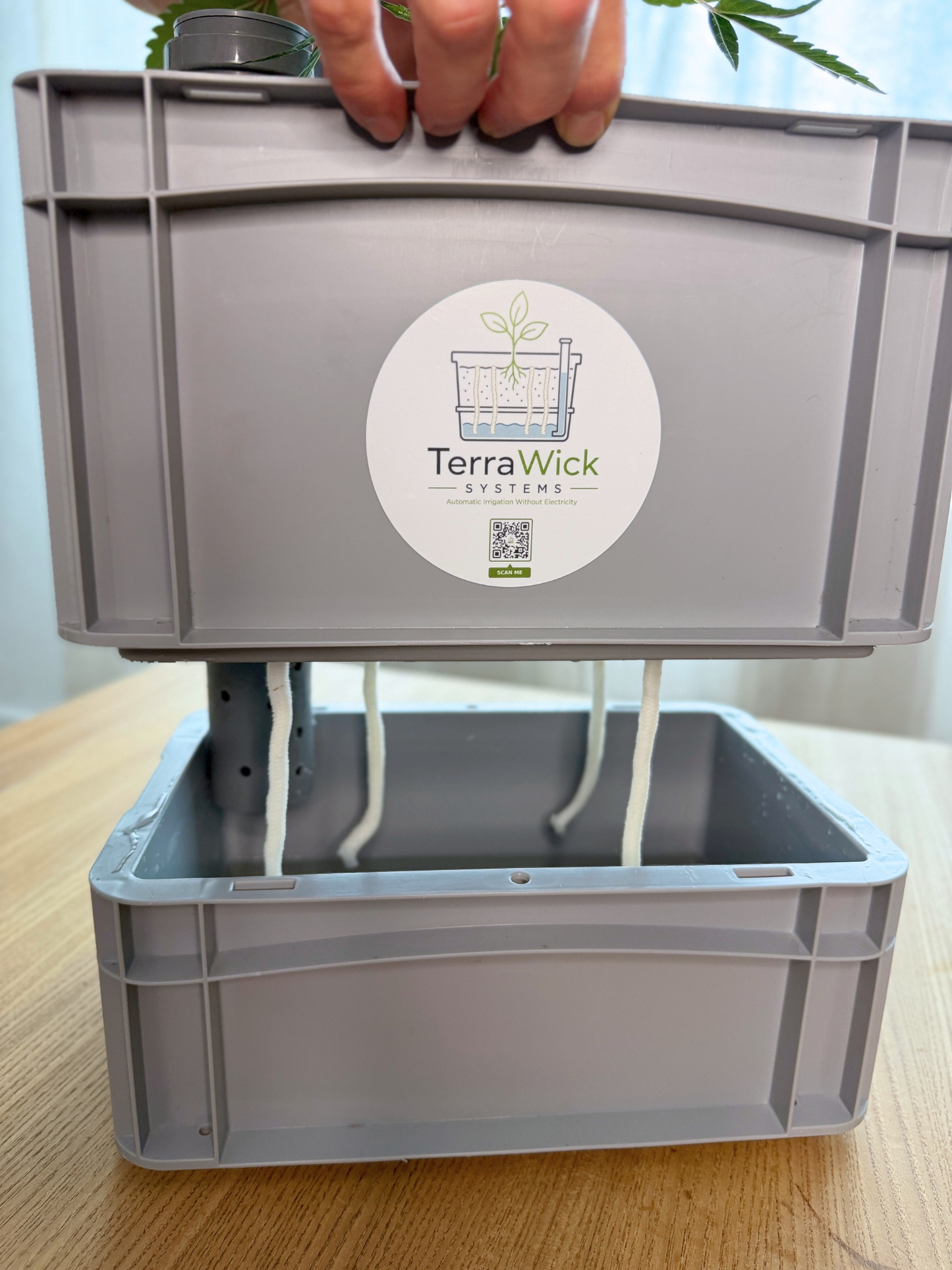 TerraWick Small